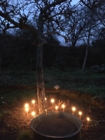 UITVERKOCHT Een sfeervolle kerstavond met zang en verhaal-Jopie Jonkers, harp en Taletta Bierens, verhaal